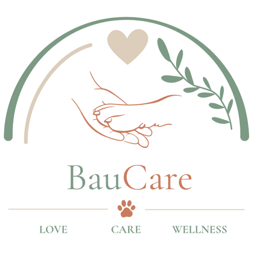 BauCare 